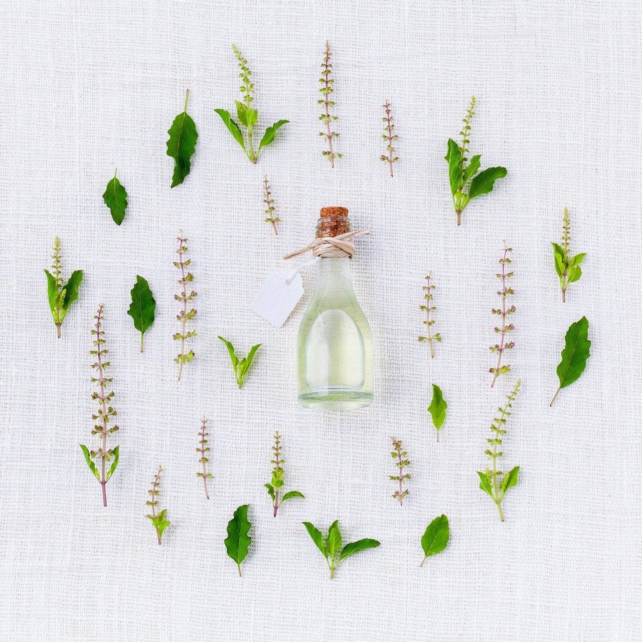 Blending With Honeysuckle: The Ultimate Floral Perfumery Guide