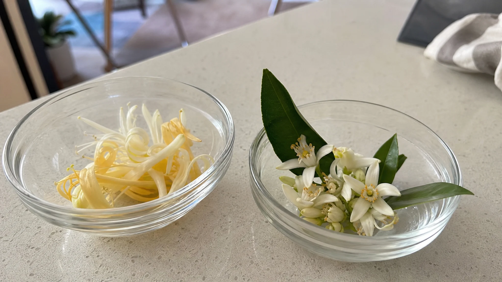 Honeysuckle Neroli Accord: Three Ratios Worked Out