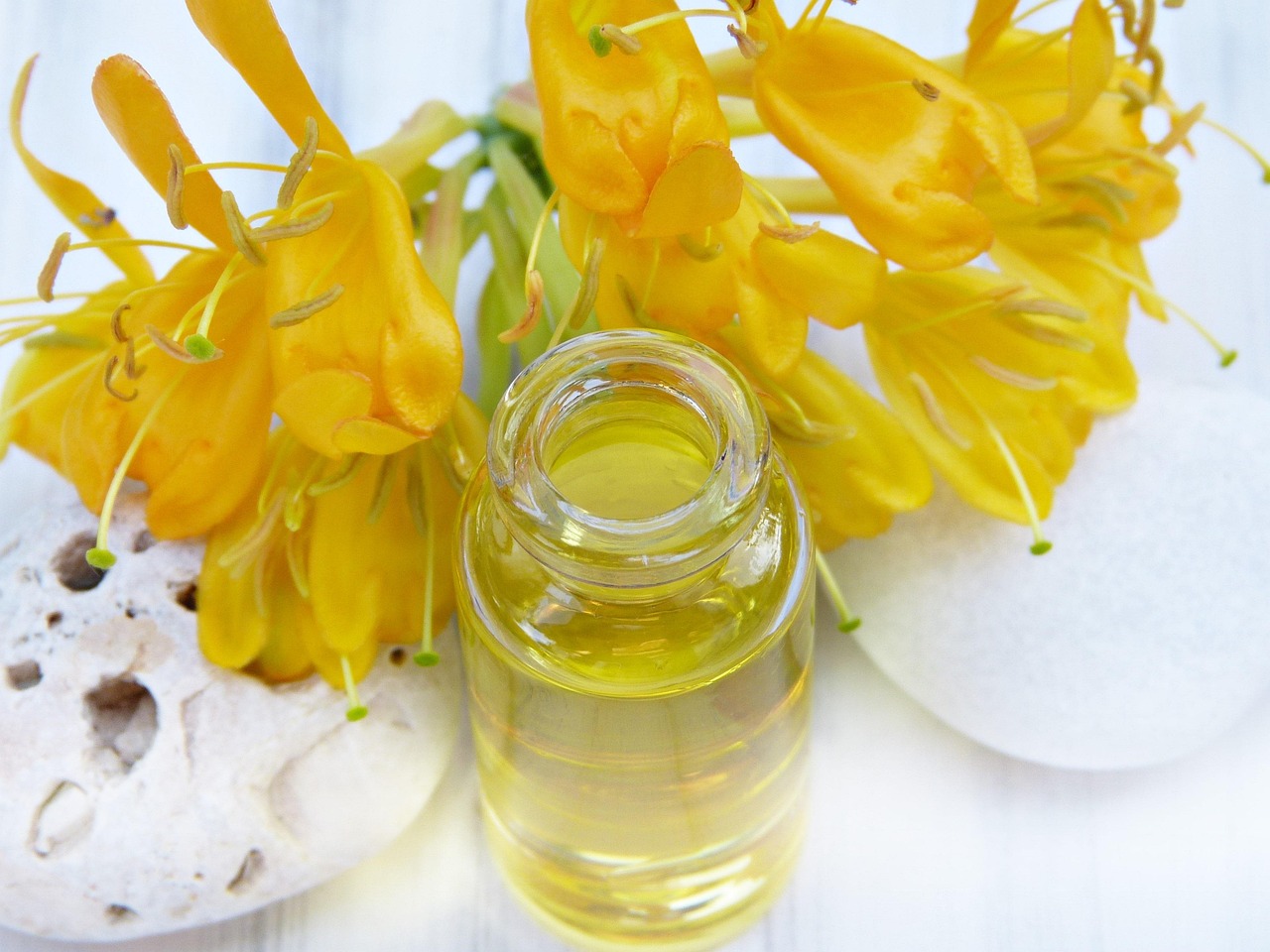 What Is Honeysuckle Oil? The Complete Guide to the Absolute
